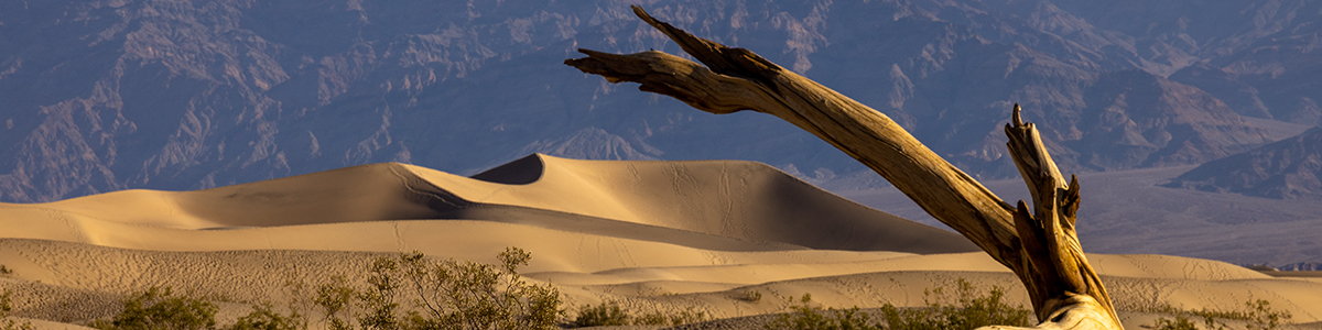 mesquite sand dunes - death valley