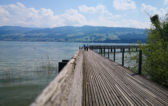 Holzsteg in Rapperswil (SG)