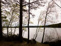 Loch Garten