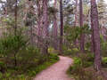 Two Lochs Trail