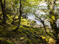 Loch Ruthven