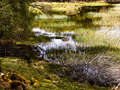 Loch Ruthven