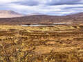 Rannoch Moor (Mòine Rannach) vor Meall a' Bhùiridh