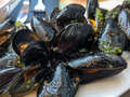 Mejillones de Menorca a la plancha (Alaska)